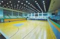 Taipeisportbasketball.jpg
